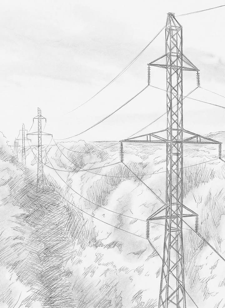 Сетевые компании